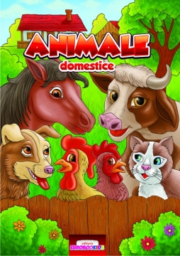 ANIMALE DOMESTICE#1